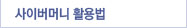 사이버머니활용법